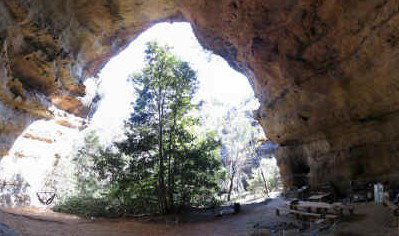 Bell NSW Surfers Gold Coast