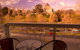Seasons Botanic Gardens - thumb 0