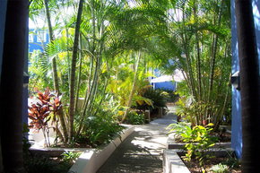 Portobello By The Sea - Surfers Gold Coast 2
