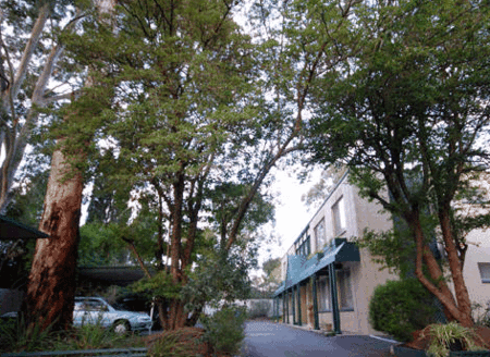 Adelaide Oakford Apartments - Surfers Gold Coast