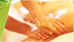 A Country Health Retreat - Surfers Gold Coast 1