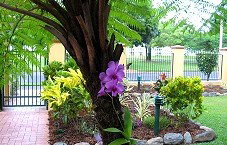 Waterfront Terraces - Surfers Gold Coast 1