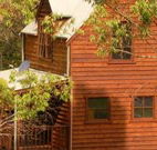 Barrington Tops Organic Retreat - Surfers Gold Coast