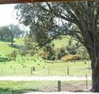 Hosanna Farm Retreat - Surfers Gold Coast
