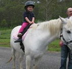 Mansfield Cottage Barrington Tops Accommodation - Surfers Gold Coast