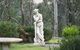 Mansfield Cottage Barrington Tops Accommodation - thumb 6