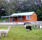 Moorallie Cottage Farm Stay - Surfers Gold Coast