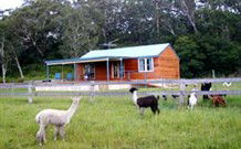 Moorallie Cottage Farm Stay - Surfers Gold Coast 0