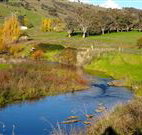 Ralda's Cottage - Surfers Gold Coast