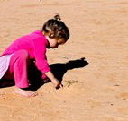 Stony Creek Farm B and B - Surfers Gold Coast