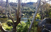 Venterfair Rural Retreat - Surfers Gold Coast 3
