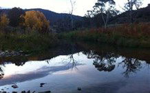 Venterfair Rural Retreat - Surfers Gold Coast 6