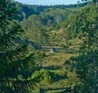 Yarralong BnB and Farm Stay - Surfers Gold Coast