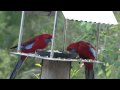 Bower At Broulee - Surfers Gold Coast 1