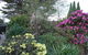 Silvermere Guesthouse - - thumb 1