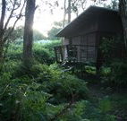 Mount Seaview Resort - Surfers Gold Coast