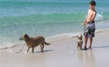 A Paradise Bungalow Waterfront - Surfers Gold Coast 0