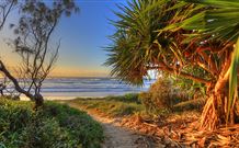 Andrea's Houses - Frangipani House - Surfers Gold Coast 4