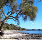 David Jones Cottage - Surfers Gold Coast
