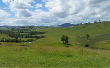 Denham Cottage - Surfers Gold Coast 4