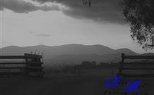 Denham Cottage - Surfers Gold Coast 3