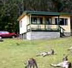Port Pitstop Cottage - Surfers Gold Coast