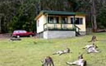 Port Pitstop Cottage - Surfers Gold Coast 0