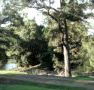 Rustic Caravan Park - Surfers Gold Coast