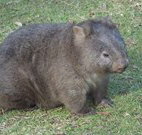 Seakissed Beachhouse - Surfers Gold Coast