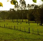 Stone Cottage Mittagong - Surfers Gold Coast
