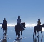The Hayloft - Surfers Gold Coast