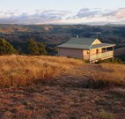 Tristania Tops Barrington - Surfers Gold Coast