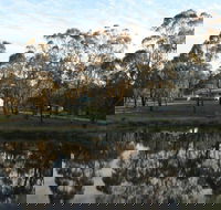 Greysen Farmstay - Surfers Gold Coast
