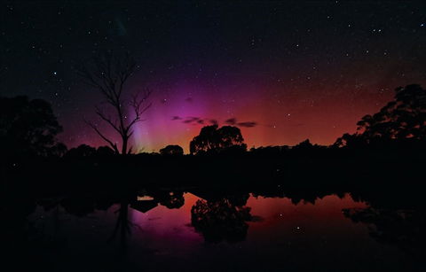 Moonbah Huts - Surfers Gold Coast 10