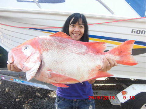 Flying Fish Point Tourist Park - Surfers Gold Coast 6