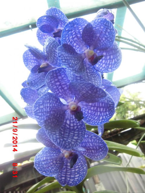 Flying Fish Point Tourist Park - Surfers Gold Coast 8