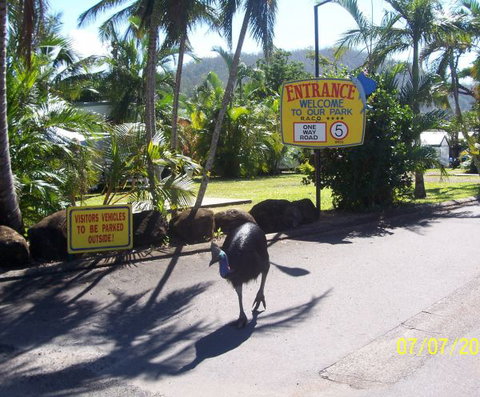 Flying Fish Point Tourist Park - Surfers Gold Coast 9