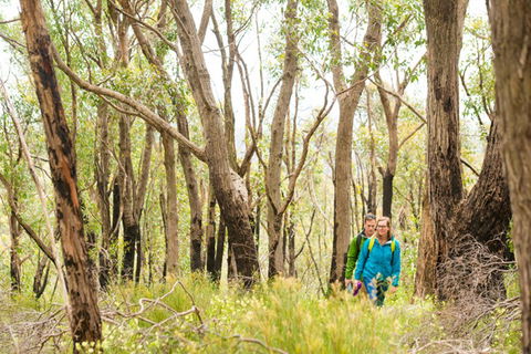 Mt Lofty YHA - Surfers Gold Coast 8
