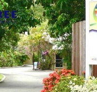 At The Mango Tree - Surfers Gold Coast