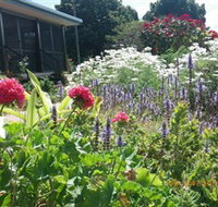 Eastwood Farm - Surfers Gold Coast