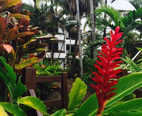 Club Tropical Resort Port Douglas - Surfers Gold Coast 2