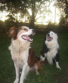 Brockhurst Farm Accommodation / Wedding Venue - Surfers Gold Coast 1