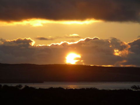 Quandong, Harbor Point Cabins, Venus Bay - Surfers Gold Coast 13