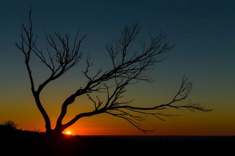 Eldee Station Accommodation, Caravan And Campsites - Surfers Gold Coast 10
