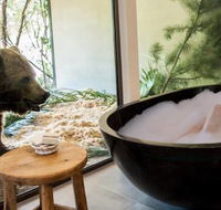 Jamala Wildlife Lodge - Surfers Gold Coast