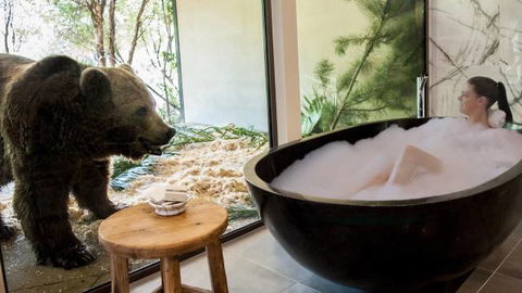 Jamala Wildlife Lodge - Surfers Gold Coast 0