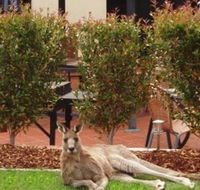 Alpha Canberra Hotel and Apartments - Surfers Gold Coast