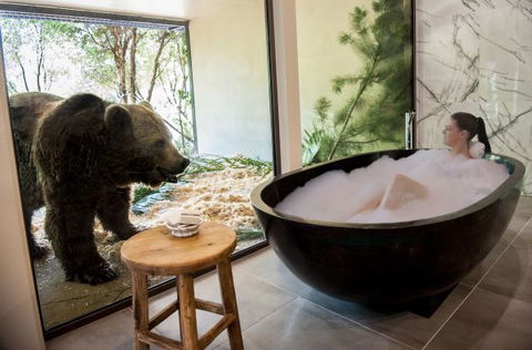 Jamala Wildlife Lodge - Surfers Gold Coast 1