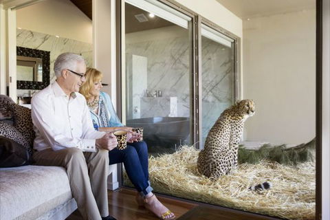 Jamala Wildlife Lodge - Surfers Gold Coast 3