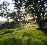 Kilfeacle Farm Cottage - Surfers Gold Coast